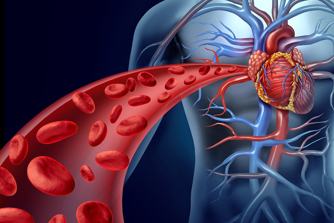 Colesterolo e Colesterolemia: Salute Cardiovascolare