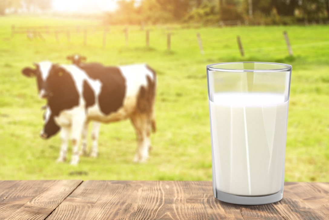 Intolleranza al lattosio: una guida completa