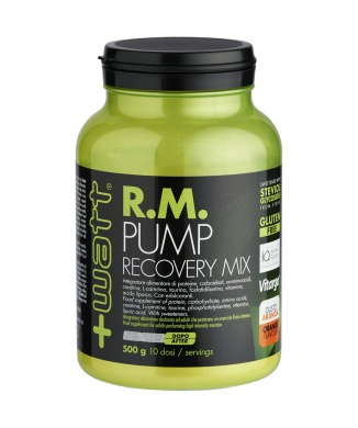 ​R.M. Pump Recovery Mix (500g) Bestbody.it