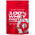 100% Whey Protein Professional (500g)