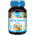 Alghe Marine (90cpr)
