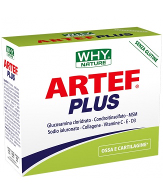 ARTEF™ Plus (12x7g) Bestbody.it