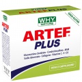 ARTEF™ Plus (12 bustine)