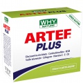 ARTEF™ Plus (24 bustine)