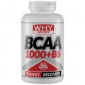 BCAA 1000 +B6 (300cpr)