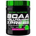 BCAA + Glutamine Xpress (300g)