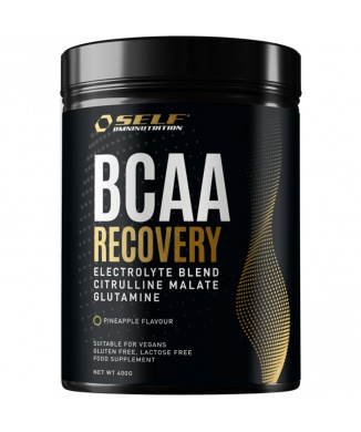 BCAA Recovery (400g) Bestbody.it