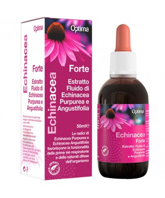 Echinacea - Estratto fluido forte (50ml) Bestbody.it