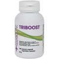 Triboost (100cps)