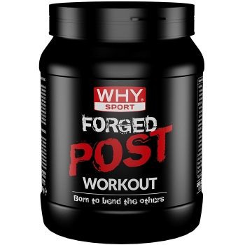 Forged Post Workout (600g) Bestbody.it