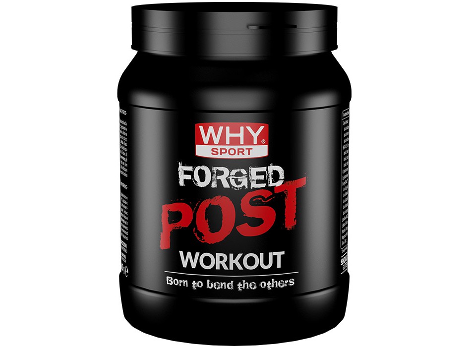 Forged Post Workout (600g) Bestbody.it