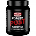 Forged Post Workout (600g)
