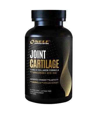 Joint Cartilage (120cps) Bestbody.it
