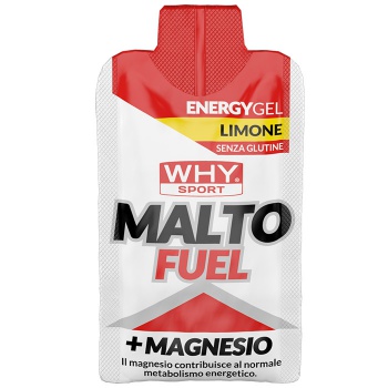 Malto Fuel (33g) Bestbody.it