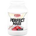 Perfect Mass (1600g)