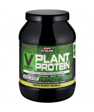 Plant Protein (900g) Bestbody.it