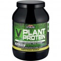 Plant Protein (900g)