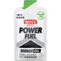 Power Fuel (55g)