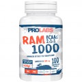 RAM 1000 (100cpr)