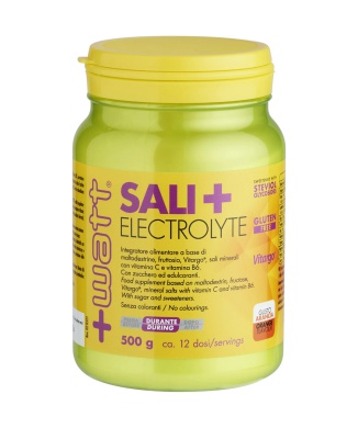 Sali + Electrolyte (500g) Bestbody.it