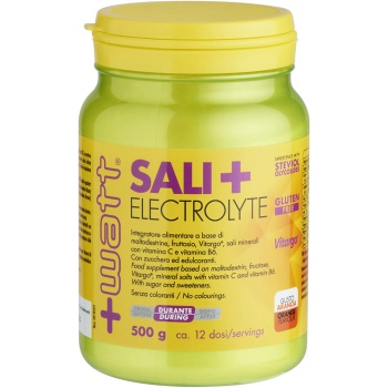 Sali + Electrolyte (500g) Bestbody.it