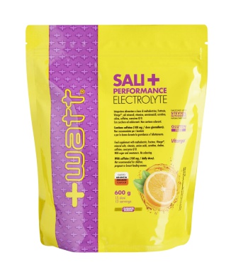 Sali + Performance Electrolyte Doypack (600g) Bestbody.it