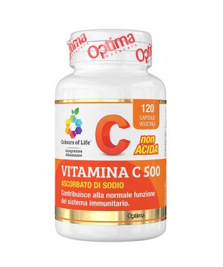 Vitamina C 500 (120cps) Bestbody.it